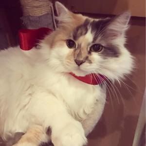 Meet your Posher, Jane